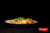 Crevettes sauce safran et orgetto aux légumes